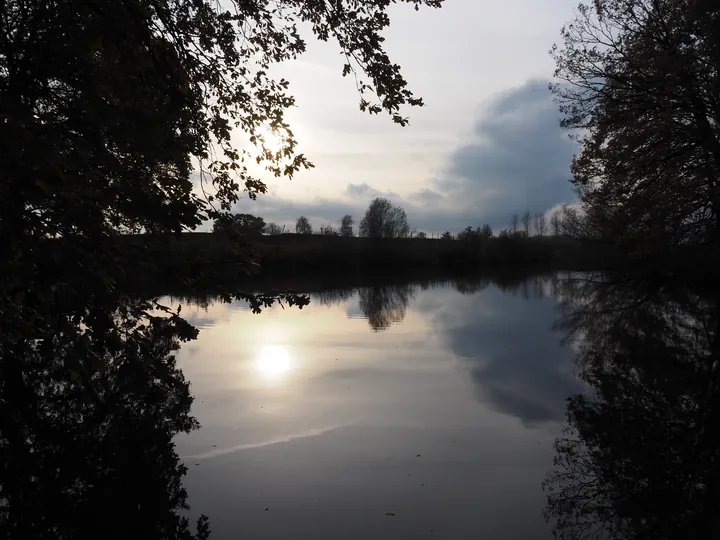 Haasdonk (België)